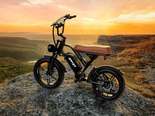 V9-G60 20“ Tire Electric Mountain Bike, 1000W Motor